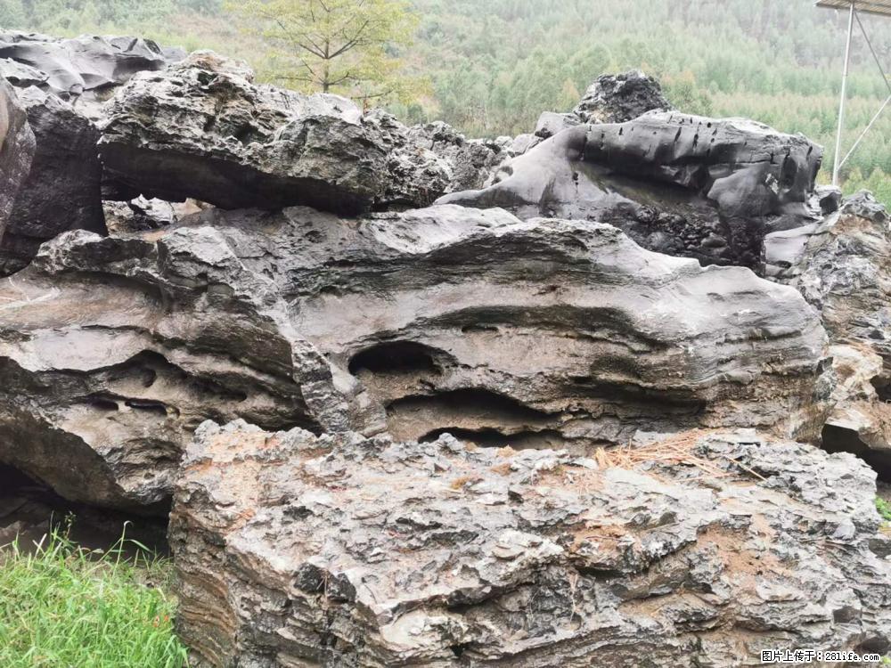风景石、假山石大量有货，有需要的欢迎联系 - 新手上路 - 鹤壁生活社区 - 鹤壁28生活网 hb.28life.net