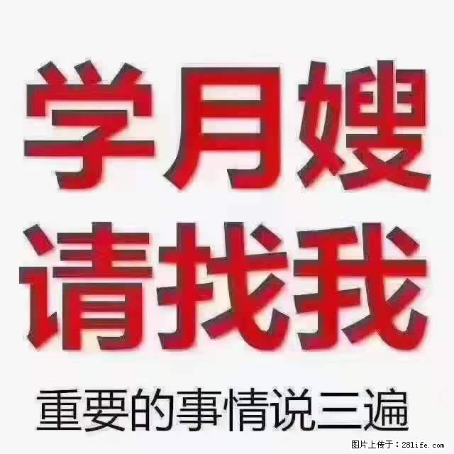 为什么要学习月嫂，育婴师？ - 其他广告 - 广告专区 - 鹤壁分类信息 - 鹤壁28生活网 hb.28life.net