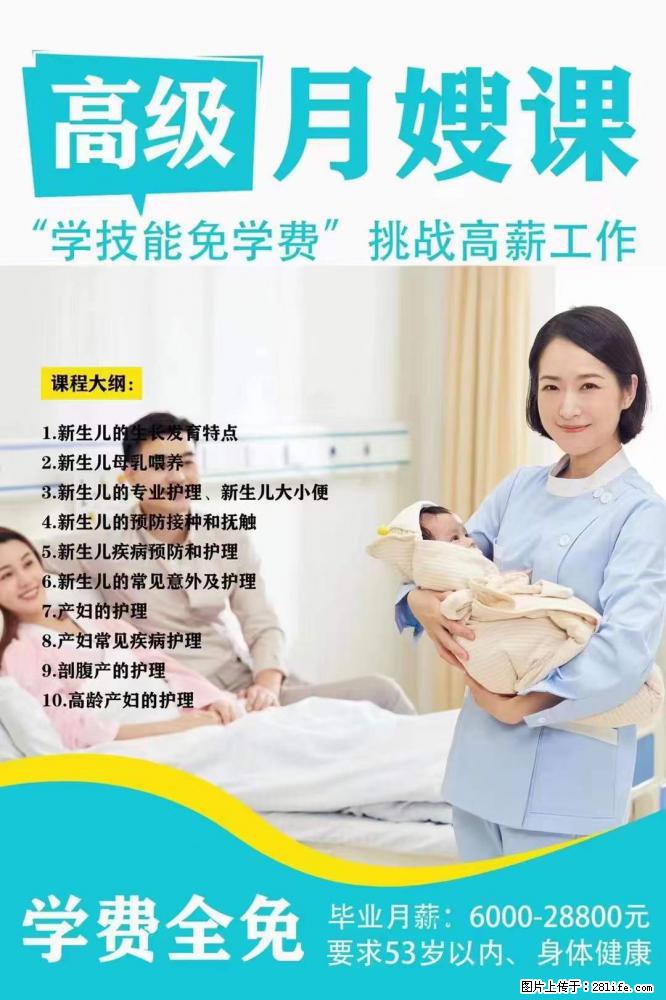 为什么要学习月嫂，育婴师？ - 其他广告 - 广告专区 - 鹤壁分类信息 - 鹤壁28生活网 hb.28life.net