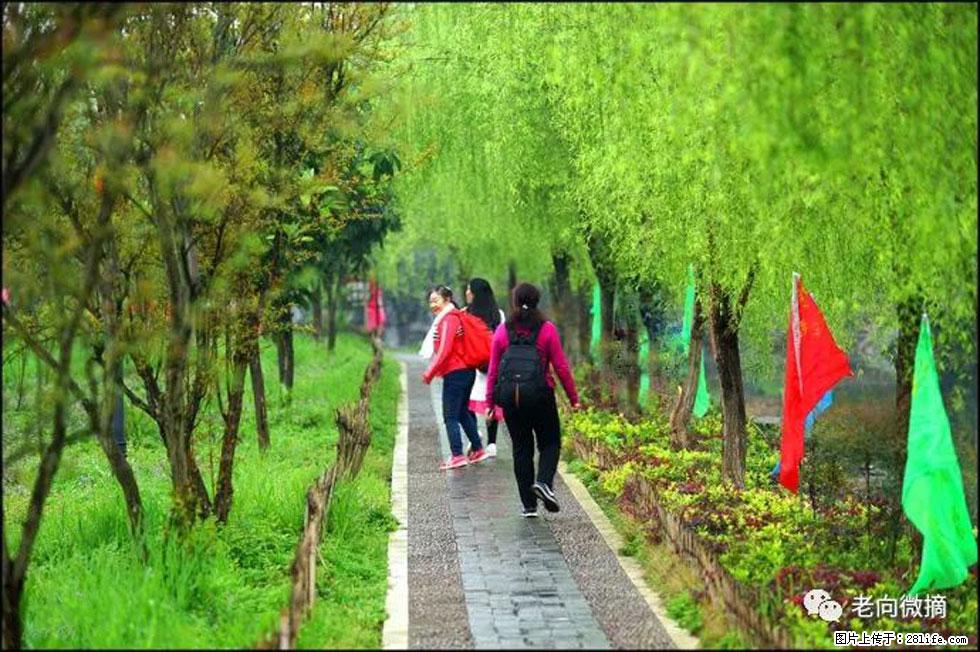 【春天，广西桂林灌阳县向您发出邀请！】江口老街又逢春 - 游山玩水 - 鹤壁生活社区 - 鹤壁28生活网 hb.28life.net
