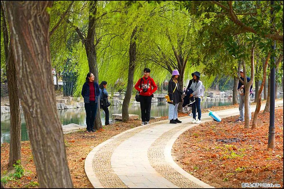 【春天，广西桂林灌阳县向您发出邀请！】江口老街又逢春 - 游山玩水 - 鹤壁生活社区 - 鹤壁28生活网 hb.28life.net
