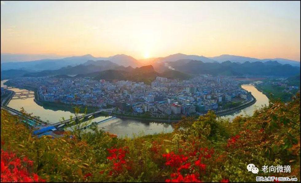 【春天，广西桂林灌阳县向您发出邀请！】登麒麟山，相约映山红 - 游山玩水 - 鹤壁生活社区 - 鹤壁28生活网 hb.28life.net