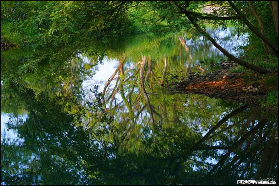 【春天，广西桂林灌阳县向您发出邀请！】熊家寨湿地公园 - 游山玩水 - 鹤壁生活社区 - 鹤壁28生活网 hb.28life.net