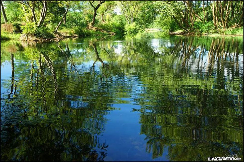 【春天，广西桂林灌阳县向您发出邀请！】熊家寨湿地公园 - 游山玩水 - 鹤壁生活社区 - 鹤壁28生活网 hb.28life.net