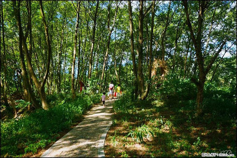 【春天，广西桂林灌阳县向您发出邀请！】熊家寨湿地公园 - 游山玩水 - 鹤壁生活社区 - 鹤壁28生活网 hb.28life.net