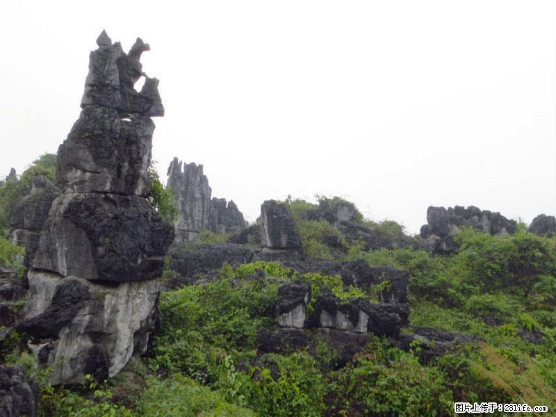 桂林旅游名城景点：灌阳文市石林 - 游山玩水 - 鹤壁生活社区 - 鹤壁28生活网 hb.28life.net