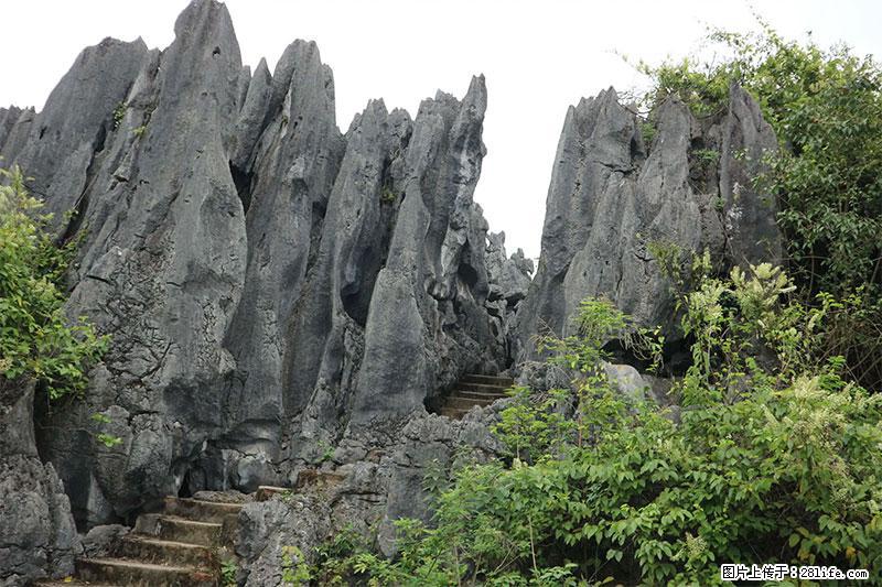 桂林旅游名城景点：灌阳文市石林 - 游山玩水 - 鹤壁生活社区 - 鹤壁28生活网 hb.28life.net