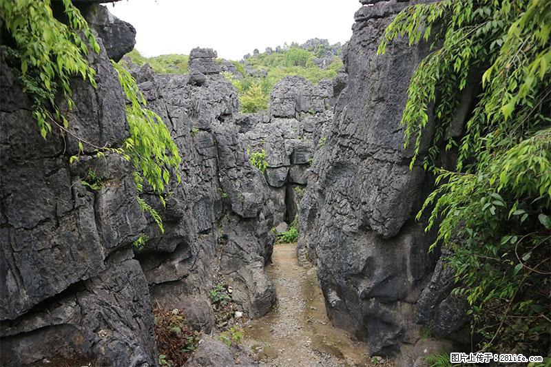 桂林旅游名城景点：灌阳文市石林 - 游山玩水 - 鹤壁生活社区 - 鹤壁28生活网 hb.28life.net