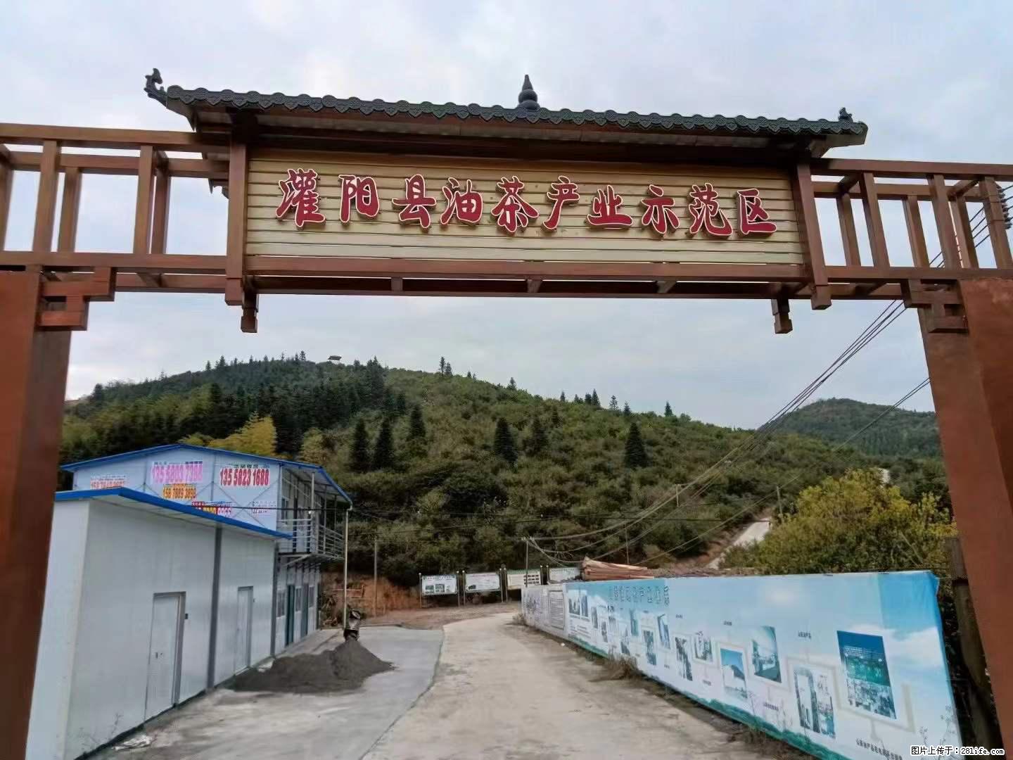 【灌阳县油茶产业示范区】一个有着充实的精神生活的人，对待身外之物自会有一种淡泊的态度 - 美食天地 - 鹤壁生活社区 - 鹤壁28生活网 hb.28life.net