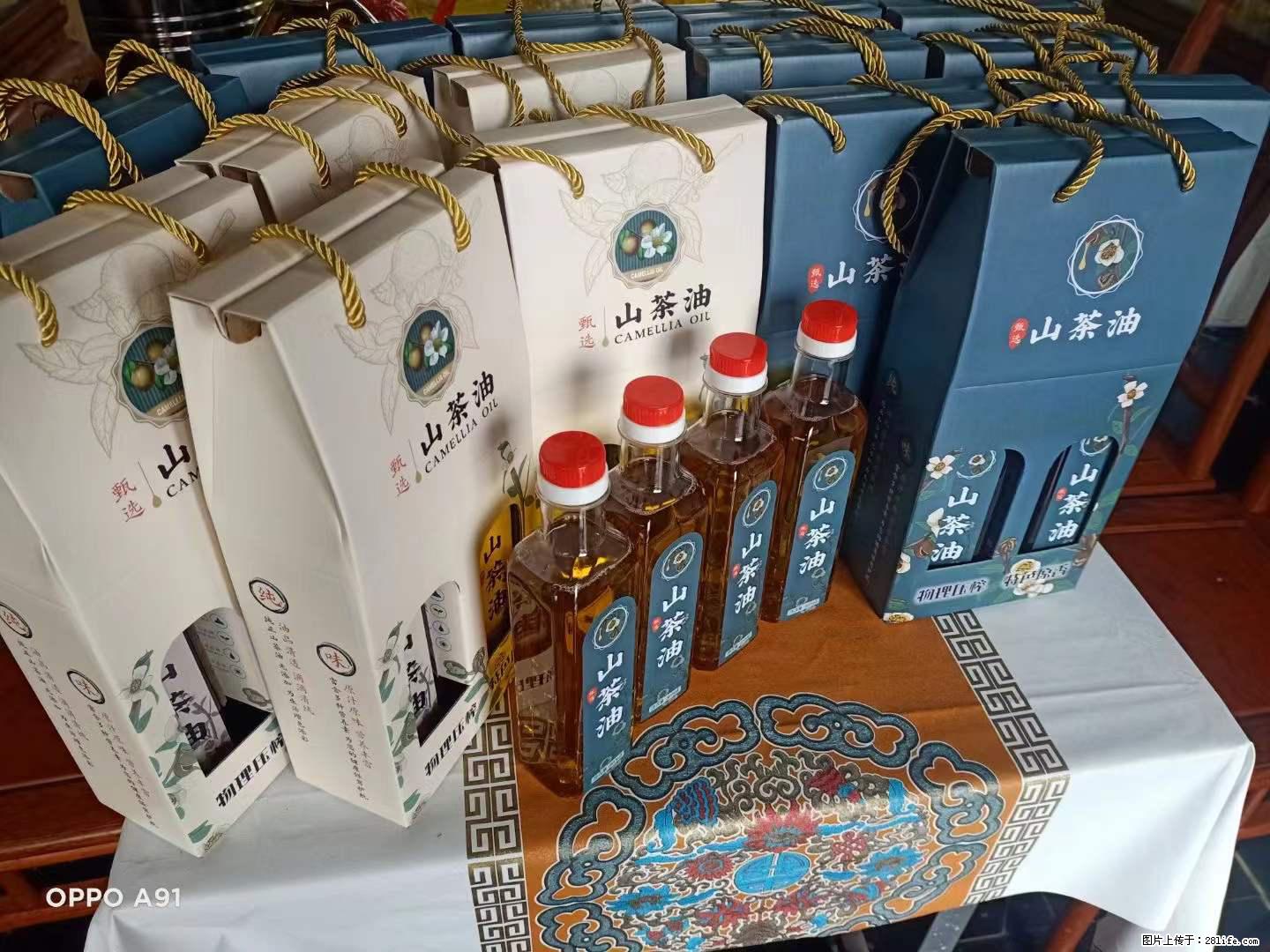 【灌阳县油茶产业示范区】一个有着充实的精神生活的人，对待身外之物自会有一种淡泊的态度 - 美食天地 - 鹤壁生活社区 - 鹤壁28生活网 hb.28life.net