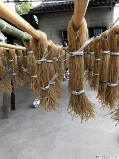 【灌阳正宗红薯粉】美女家里自己做的，干净卫生，假一赔十，价格合理，抢购电话：13737312895 - 鹤壁28生活网 hb.28life.net