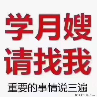 为什么要学习月嫂，育婴师？ - 鹤壁28生活网 hb.28life.net