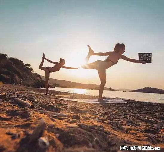 辞掉工作周游世界？现在他们在洗厕所…… - 游山玩水 - 鹤壁生活社区 - 鹤壁28生活网 hb.28life.net