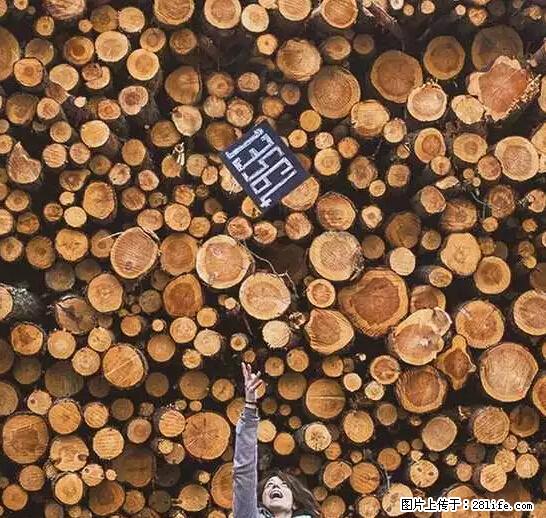 辞掉工作周游世界？现在他们在洗厕所…… - 游山玩水 - 鹤壁生活社区 - 鹤壁28生活网 hb.28life.net