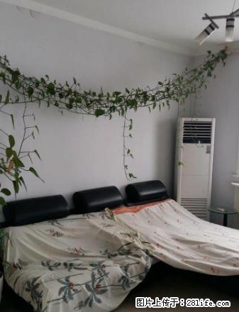 鹤鸣花园 三楼 精装修 家具家电齐全 四台空调 免费登记房源 - 房屋出租 - 房屋租售 - 鹤壁分类信息 - 鹤壁28生活网 hb.28life.net