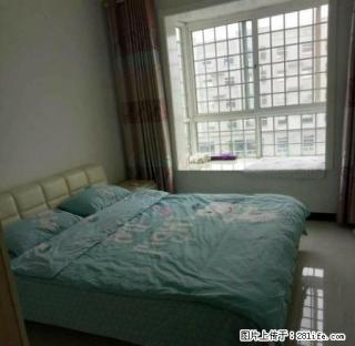 橡树玫瑰城 精装电梯房 家具家电齐全 免费登记房源 - 鹤壁28生活网 hb.28life.net