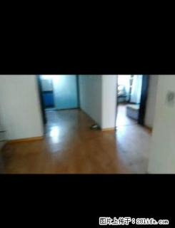 天润嘉城 两室 木地板 简单家具 整体厨房 - 鹤壁28生活网 hb.28life.net