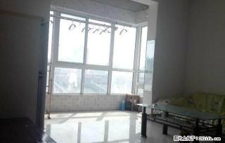 明达对面华府天下 两室电梯房 家电齐全 拎包住 两屋朝南 - 鹤壁28生活网 hb.28life.net