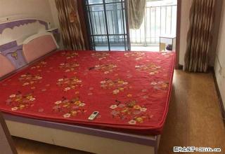 黄河路东段偶之家 两室 二楼带电梯 家电齐全 免费登记房源 - 鹤壁28生活网 hb.28life.net