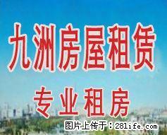湘江南岸 湘江小学附近 有家具 灶具 热水器 - 房屋出租 - 房屋租售 - 鹤壁分类信息 - 鹤壁28生活网 hb.28life.net