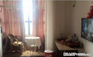 天鹏御景 小户型 精装修 电梯房 家具家电齐全 年租可谈 - 鹤壁28生活网 hb.28life.net
