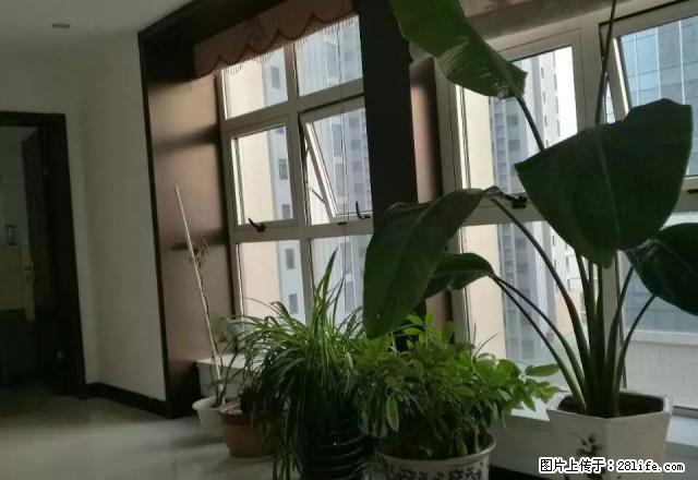 出租观景大厦写字楼精装全套办公用具 - 房屋出租 - 房屋租售 - 鹤壁分类信息 - 鹤壁28生活网 hb.28life.net
