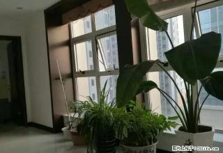 出租观景大厦写字楼精装全套办公用具 - 鹤壁28生活网 hb.28life.net