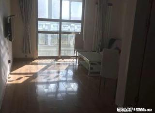 东方世纪城 6楼 精致装修 家具家电齐全 拎包即住 - 鹤壁28生活网 hb.28life.net