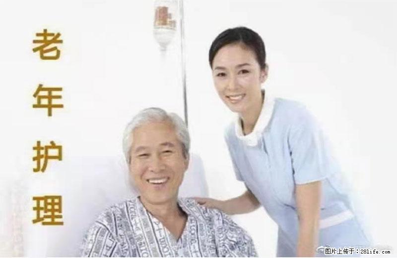 上海国企养老院，星级酒店环境，招聘养老护工 - 职场交流 - 鹤壁生活社区 - 鹤壁28生活网 hb.28life.net