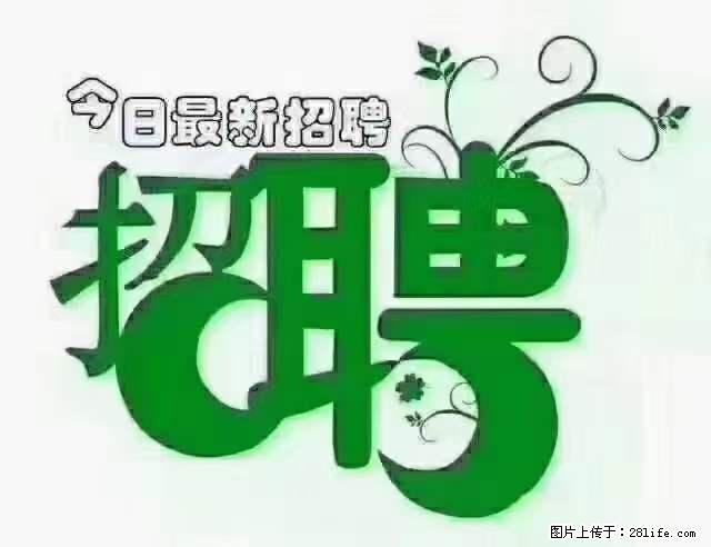 【招聘摄像师】待遇：试用期6000元/月，转正7000元/月+五险一金+餐补+节日福利+奖金 - 其他招聘信息 - 招聘求职 - 鹤壁分类信息 - 鹤壁28生活网 hb.28life.net