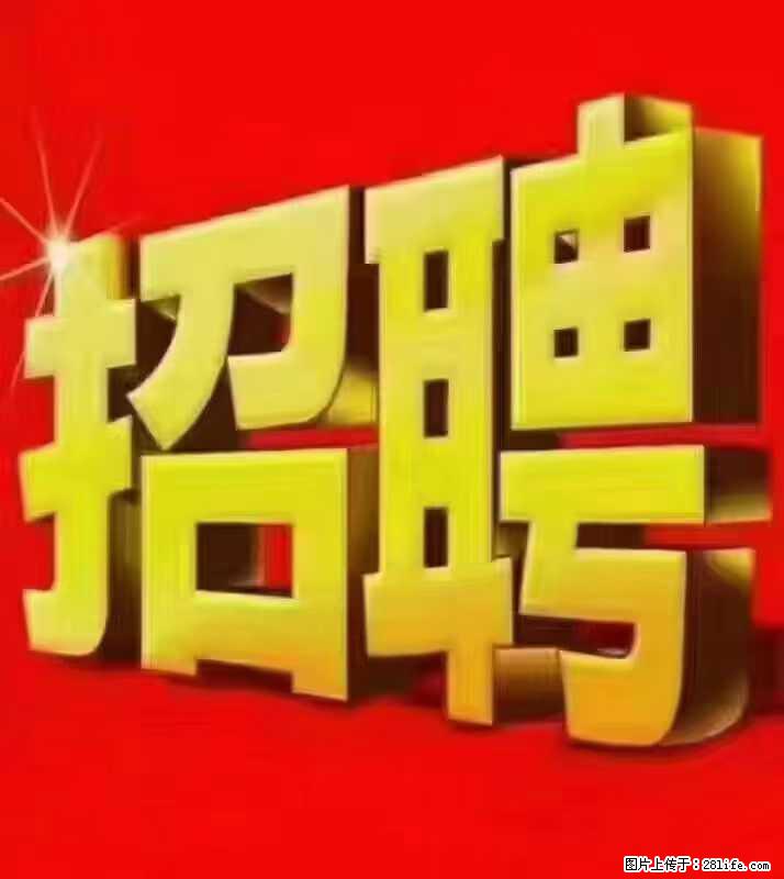 【东莞市威萨电子科技有限公司】公司直招：外贸业务、仓管员、跟单文员、普工 - 职场交流 - 鹤壁生活社区 - 鹤壁28生活网 hb.28life.net