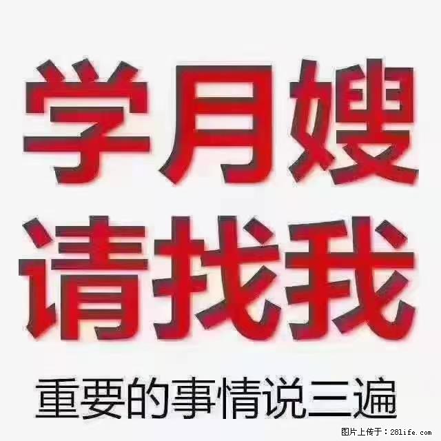【招聘】月嫂，上海徐汇区 - 职场交流 - 鹤壁生活社区 - 鹤壁28生活网 hb.28life.net