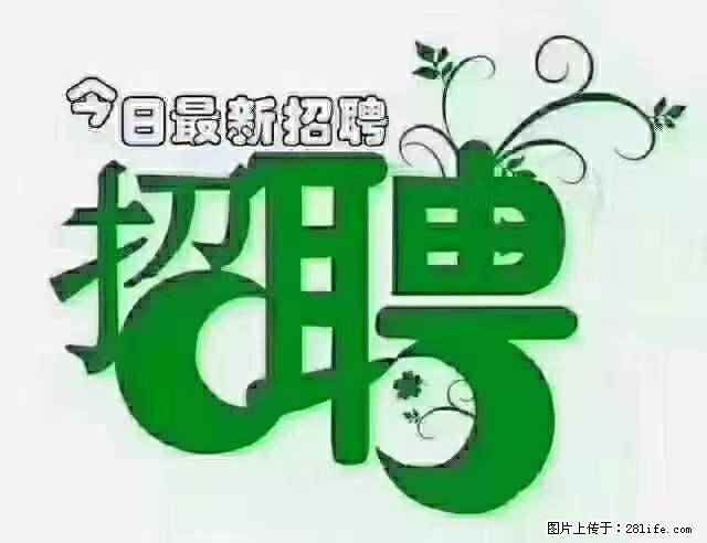 上海隔离酒店招人：55岁以下 男女不限 - 职场交流 - 鹤壁生活社区 - 鹤壁28生活网 hb.28life.net