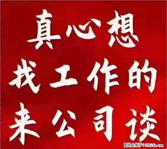 【上海】国企，医院招两名男保安，55岁以下，身高1.7米以上，无犯罪记录不良嗜好 - 职场交流 - 鹤壁生活社区 - 鹤壁28生活网 hb.28life.net
