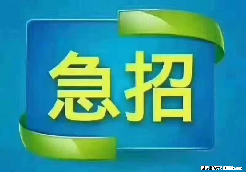 招财务，有会计证的，熟手会计1.1万底薪，上海五险一金，包住，包工作餐，做六休一 - 职场交流 - 鹤壁生活社区 - 鹤壁28生活网 hb.28life.net