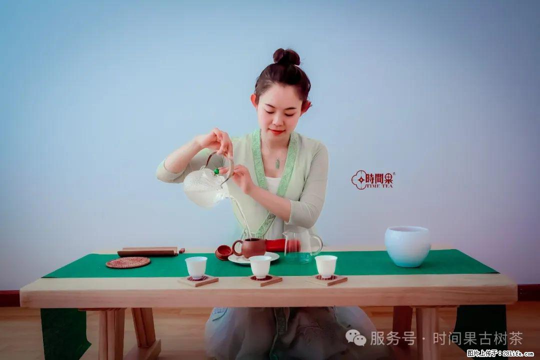 时间果百年古树龙珠普洱生茶 - 购物交流 - 鹤壁生活社区 - 鹤壁28生活网 hb.28life.net
