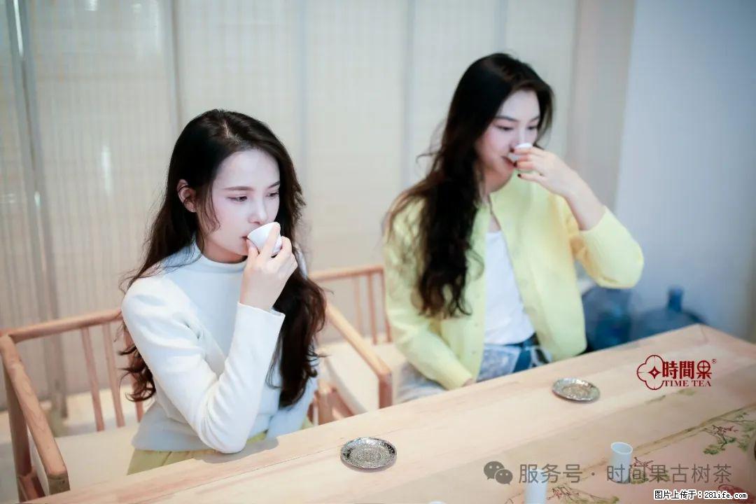 时间果百年古树龙珠普洱生茶 - 购物交流 - 鹤壁生活社区 - 鹤壁28生活网 hb.28life.net