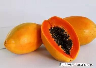 晕车、脚气、牙齿变黄、皮肤粗糙？学会这些三分钟搞定！ - 鹤壁生活资讯 - 鹤壁28生活网 hb.28life.net