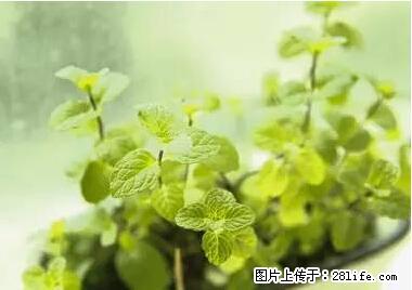 晕车、脚气、牙齿变黄、皮肤粗糙？学会这些三分钟搞定！ - 鹤壁生活资讯 - 鹤壁28生活网 hb.28life.net