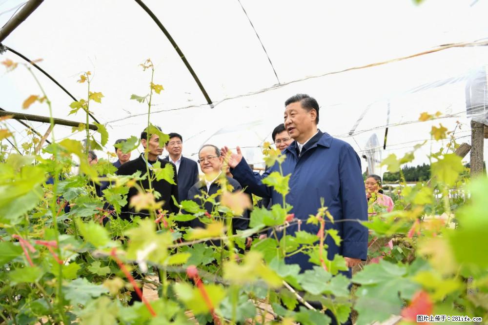习近平赴广西考察调研 - 鹤壁生活资讯 - 鹤壁28生活网 hb.28life.net