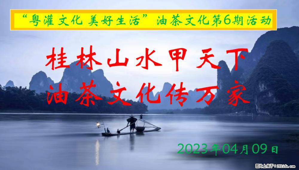“粤灌文化 美好生活”油茶文化主题活动在广东深圳成功举办 - 鹤壁生活资讯 - 鹤壁28生活网 hb.28life.net