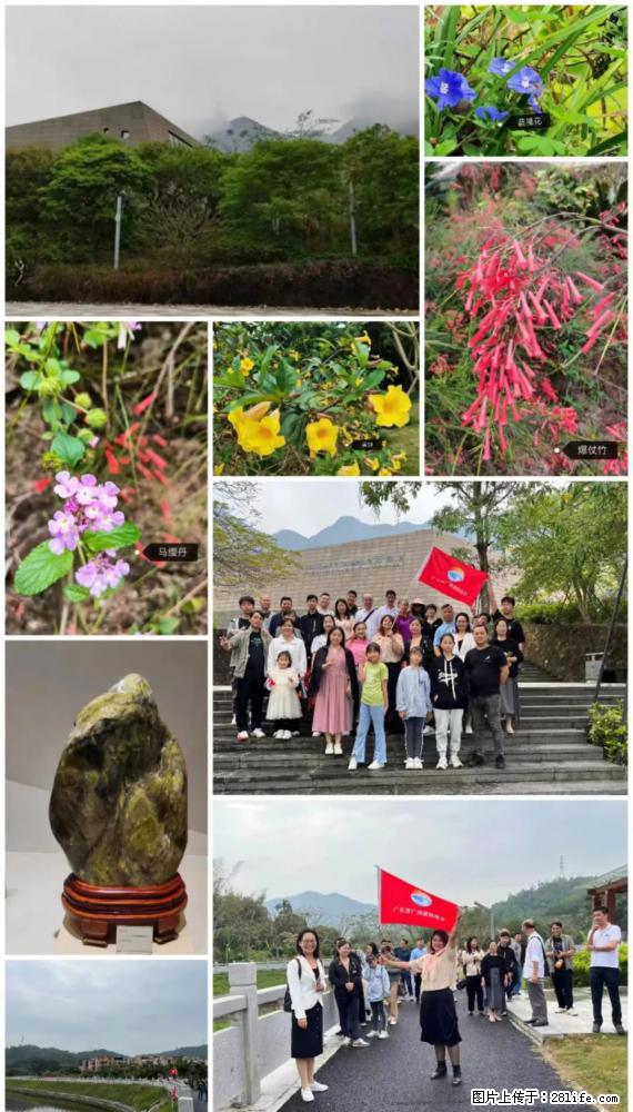“粤灌文化 美好生活”油茶文化主题活动在广东深圳成功举办 - 鹤壁生活资讯 - 鹤壁28生活网 hb.28life.net
