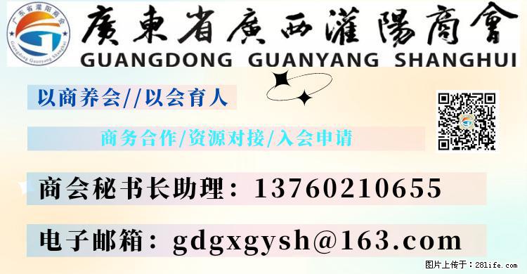 “粤灌文化 美好生活”油茶文化主题活动在广东深圳成功举办 - 鹤壁生活资讯 - 鹤壁28生活网 hb.28life.net
