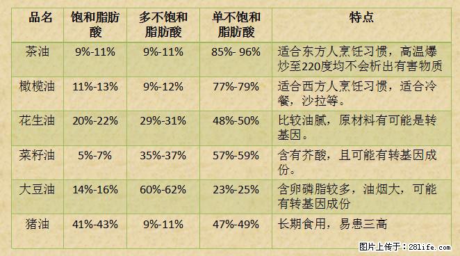 揭秘茶油的5大核心营养成分！被称为人体健康的“守护盾”！ - 鹤壁生活资讯 - 鹤壁28生活网 hb.28life.net