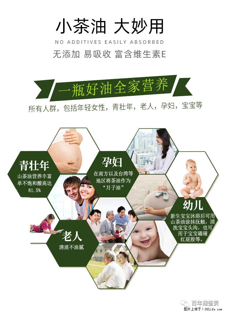 世界没有真相，只有认知，最好的食用油是中国的山茶油！ - 鹤壁生活资讯 - 鹤壁28生活网 hb.28life.net