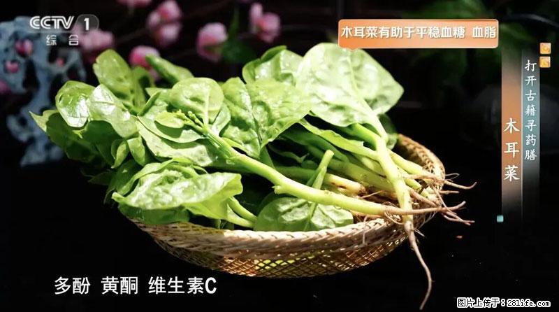 比牛奶补钙还厉害！凉血解毒、稳血糖...这菜冬天必吃，很多人却当草 - 鹤壁生活资讯 - 鹤壁28生活网 hb.28life.net