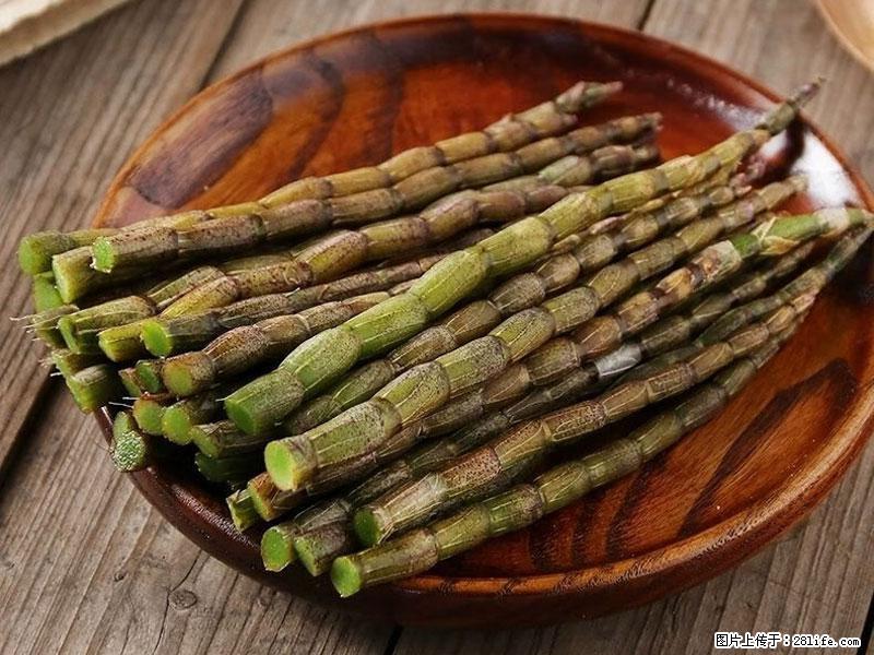 铁皮石斛的作用与功能主治 - 鹤壁生活资讯 - 鹤壁28生活网 hb.28life.net