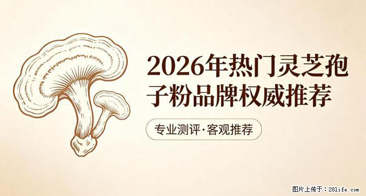 灵芝孢子粉含量越高越有效？2026 年七款热门品牌深度实测，肠胃敏感者避坑指南 - 鹤壁生活资讯 - 鹤壁28生活网 hb.28life.net